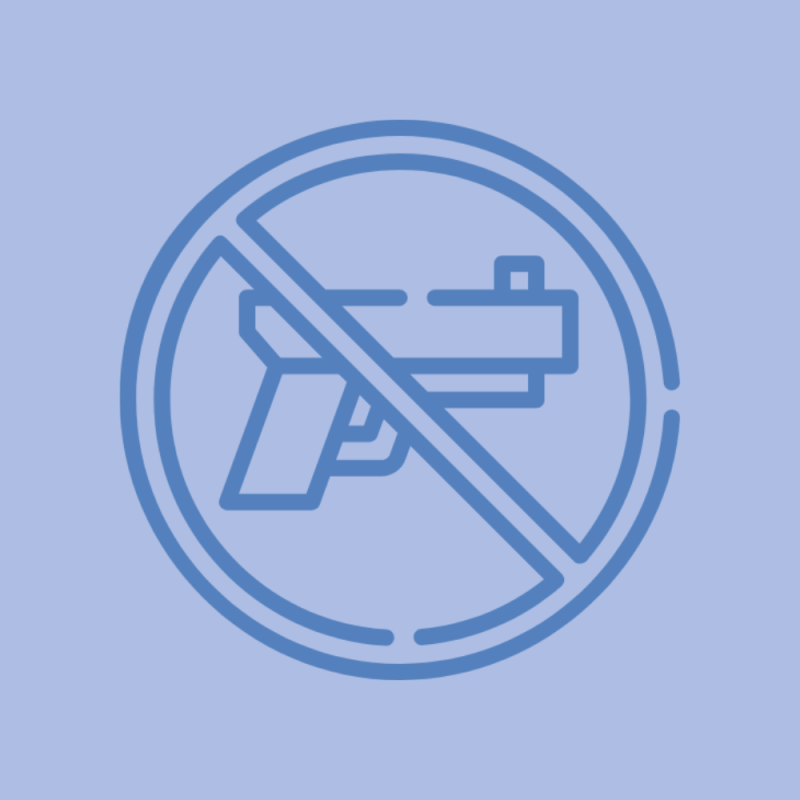 DECRETO SICUREZZA, OK DALLA RAGIONERIA: NORME CONTRO ARMI E DISORDINI PUBBLICI IN&nbsp;VIGORE